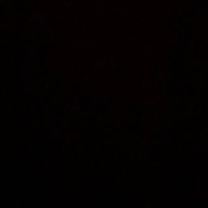 Meet your Posher, Luis